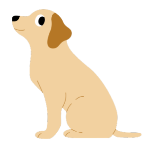 Hund
